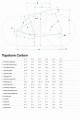 Geometria_CANNONDALE_TOPSTONE_CARBON_3_GRX_2X_0.jpg