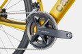 Cannondale_synapse_Carbon_5_Phoenix Yellow_5.jpg