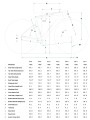 Geometry Synapse Carbon 4 CANNONDALE Bicycles vert.jpg