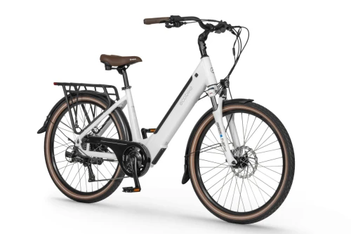 ecobike x-city 26 01.jpg