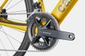 Synapse carbon 5 black pheonix yellow5.jpg
