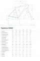 geometry_cannondale_topstone_caad.jpg