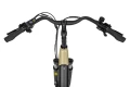 ecobike_x-city_cappuccino_11.jpg