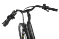 ecobike_x-city_Americano_12.jpg