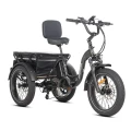 JOBOBIKE_Triker_Fatbike_elektryczny_trojkolowiec_w_kolorze_czarnym.webp